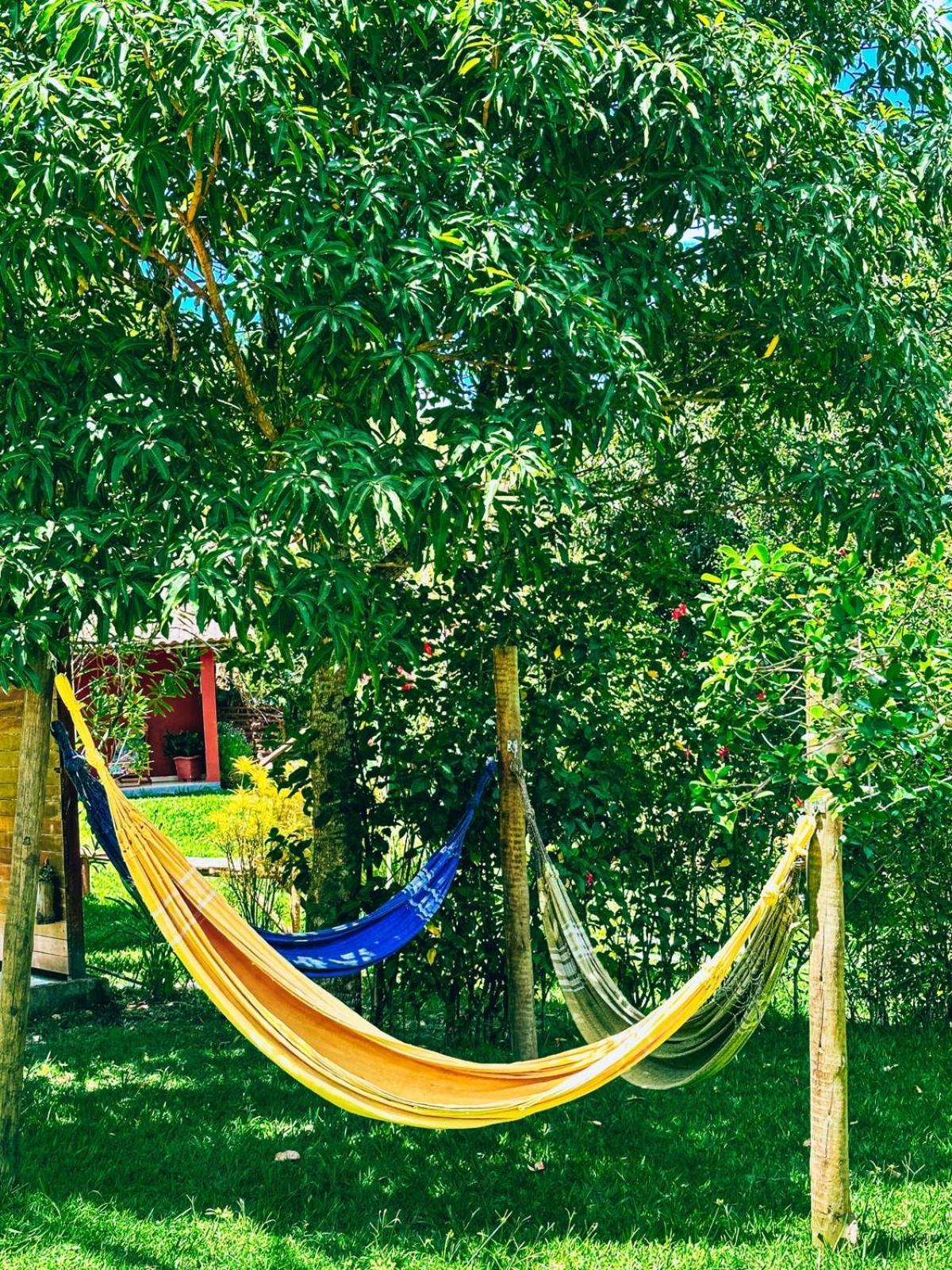 Pousada Sitio Da Floresta 사나 외부 사진