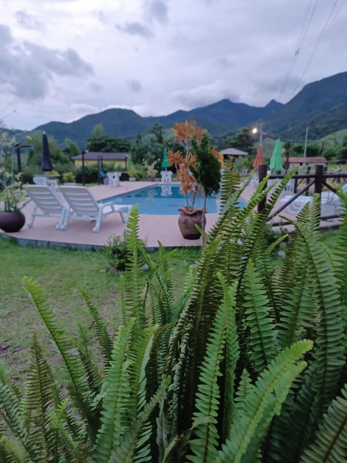 Pousada Sitio Da Floresta 사나 외부 사진